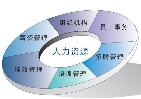 什么人力资源管理咨询？